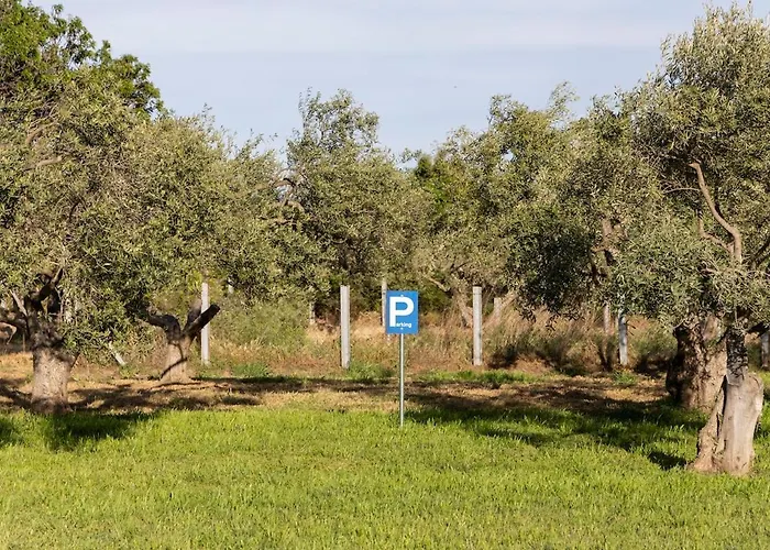 Theros, Garden And Sea
